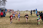 Girls under-13s, 2018 Northern Cross Country Champs., Harewood House, Leeds. Photo: David T. Hewitson/Sports for All Pics